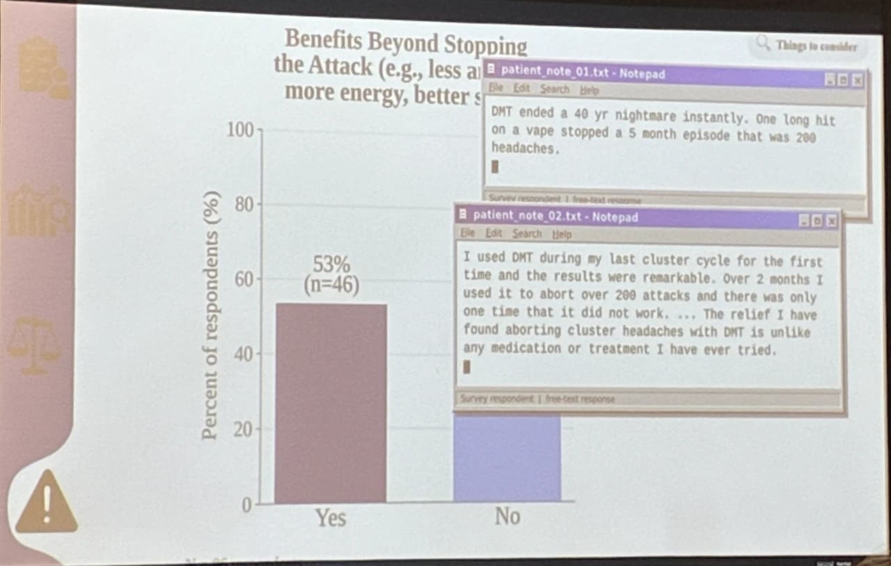 Two testimonials from the DMT survey