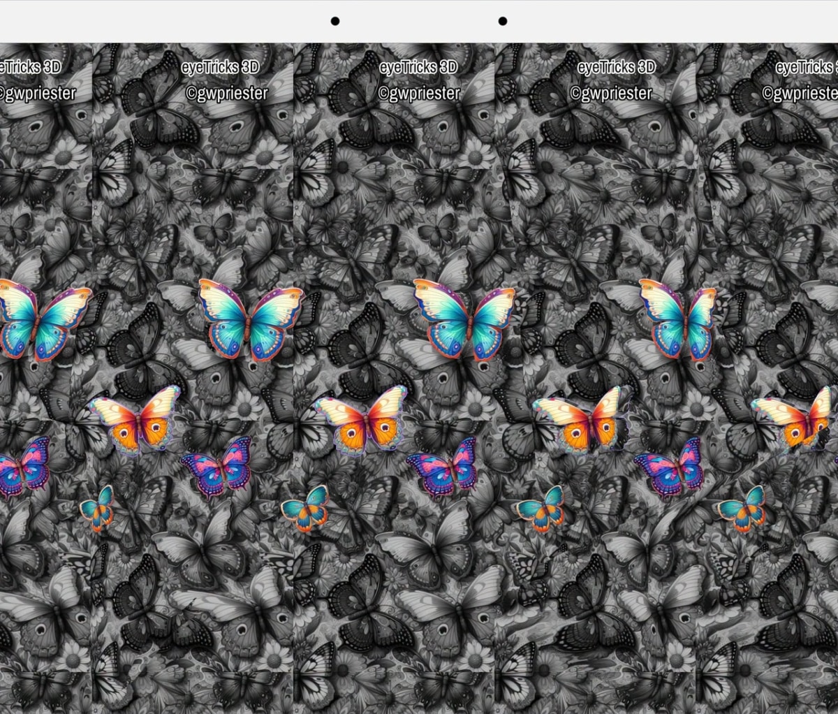 Autostereogram of a butterfly tunnel